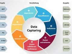 Data Capturer/Receptionist